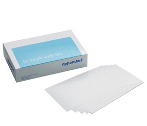 德國艾本德(Eppendorf)Masterclear? real-timePCR 密封膜, 自封膜, PCR 潔凈級(jí), 100 個(gè)