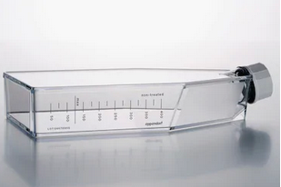 德國艾本德(Eppendorf)Cell Culture FlasksT-175,無菌無熱原,無RNase和DNase,無人類和細菌DNA,無細胞毒素,帶密封蓋,未處理,30.0mL